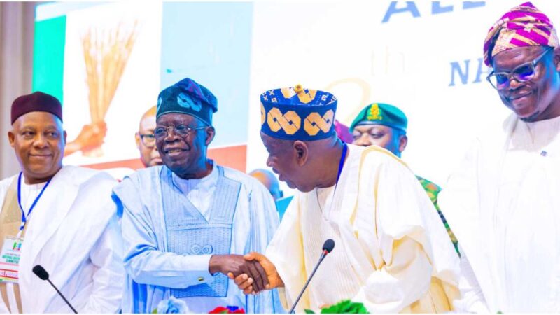 Asiwaju Bola Ahmed Tinubu’s Ultimate Triumph at Supreme Court A Divinely Guarded Destiny – National President Arewa Image Promoters Forum, Alhaji Aliyu Bambado Galadiman Sarkin Fulani