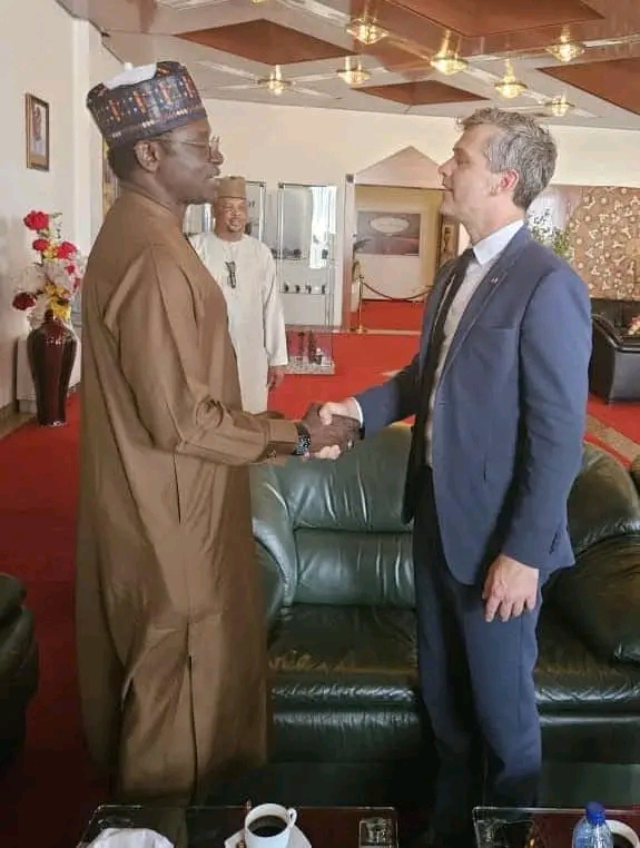 Yobe Governor Meets Danish Ambassador, Seeks Trade Partnership