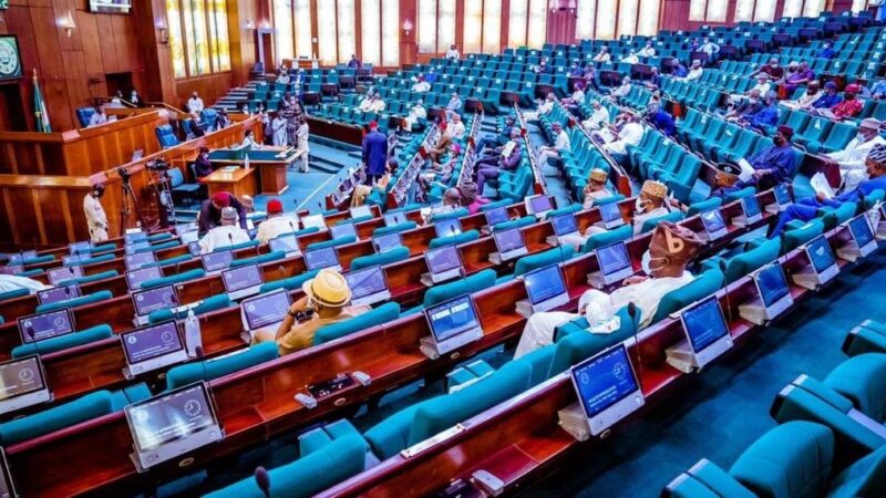 Lawmakers to launch ‘NASS Eyes’ for effective oversight on agencies
