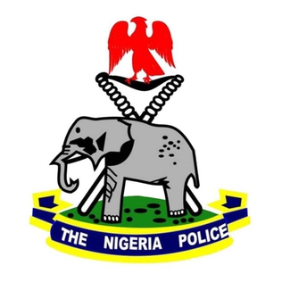 Police boss appoints new Commissioners for Rivers, other states