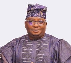 Private jet conveying Minister of Power crash-lands