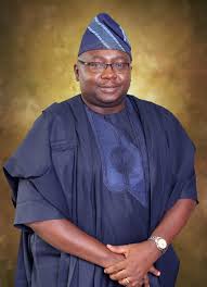 Nigerian Minister of Power in good spirits after private jet crash