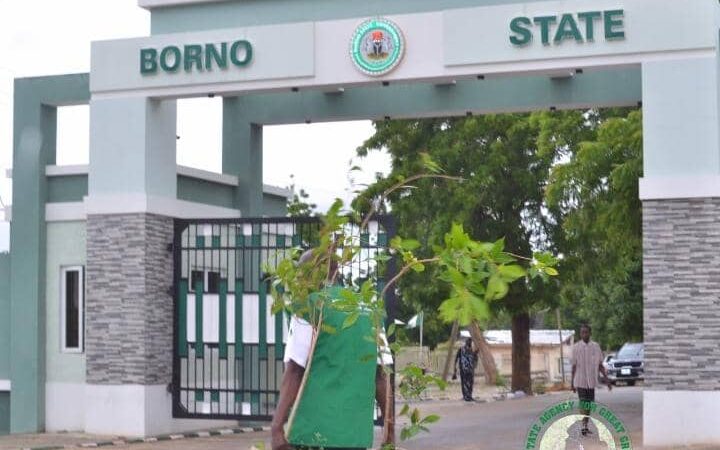 In Tribute to Visionary Leadership: Borno Agency Plants Hundreds of Trees for Governor Zulum’s Birthday