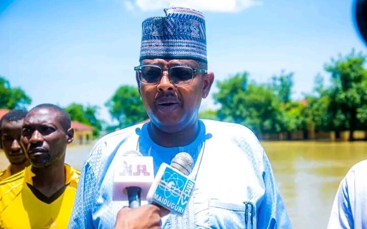 Breaking News: Borno State Announces Immediate Closure of Primary and Secondary Schools