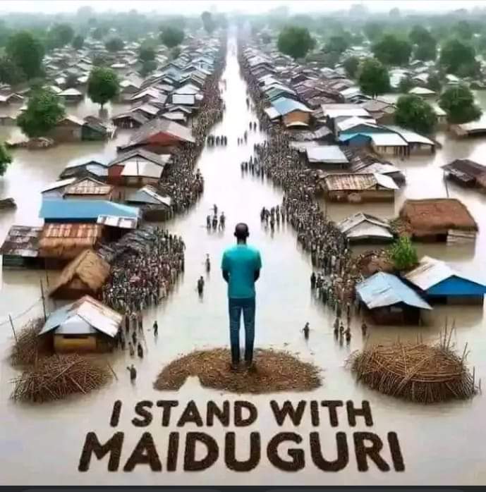 Borno Govt announce Flood Relief account, Appeals for Donations