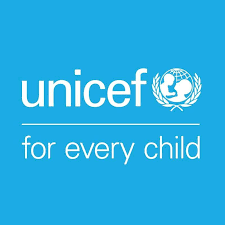 UNICEF partners Borno to end open defecation