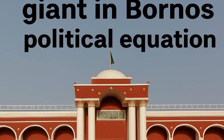 Bama Emirate: The Forgotten Giant in Borno’s Political Equation