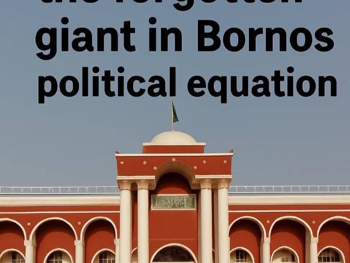 Bama Emirate: The Forgotten Giant in Borno’s Political Equation